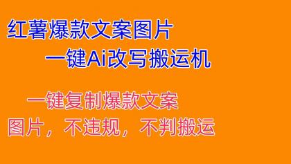 红薯爆款文案图片一键Ai改写搬运机 全行业通用-颜夕资源网-第16张图片