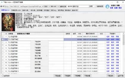 闪豆视频下载器 支持下载60多个平台，最高支持4K画质-颜夕资源网-第16张图片