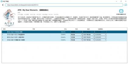 跨平台B站下载工具 DownKyiCore 1.0.11-颜夕资源网-第16张图片