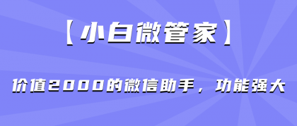 【小白微管家】价值2000的微信助手，功能强大-颜夕资源网-第16张图片