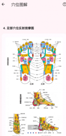 人体穴位图解是一款免费无广提供人体穴位图解-颜夕资源网-第17张图片