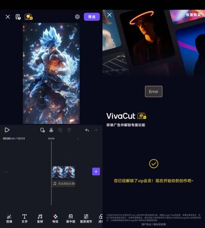 VivaCut 视频剪辑 v3.7.0解锁会员版-颜夕资源网-第16张图片