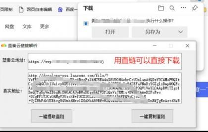 蓝奏云链接解析 可以在直链可以在浏览器直接下载-颜夕资源网-第17张图片